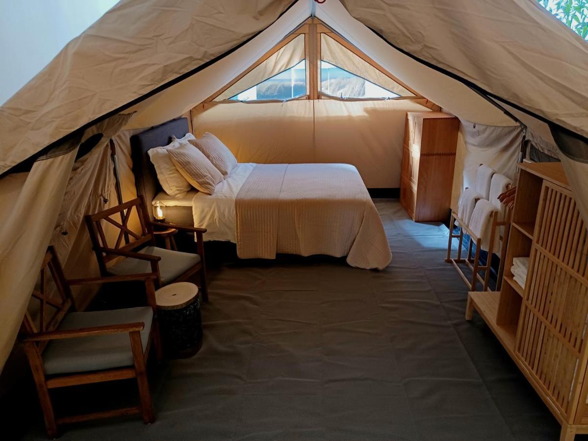 75M2 Indoor Glamping Scheveningen The Hague Exterior photo